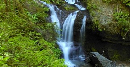 Covell Creek in the Gifford Pinchot National Forest