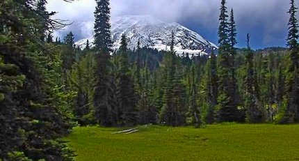 Mt Adams as seen from Foggy Flats in the Mt Adams Wilderness Area