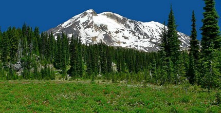 Mt Adams as seen from the Stagman Ridge area of the Mt Adams Wilderness Area