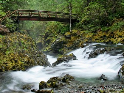 Foot bridge across Opal Creek